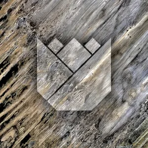 Tulip album cover