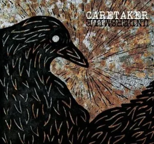 Caretaker / Undersmile album cover
