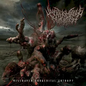 Misshapen Congenital Entropy album cover