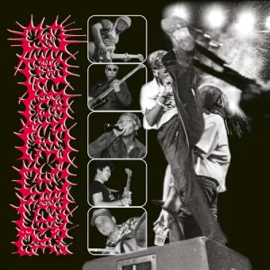 Bite The Hand That Feeds album cover