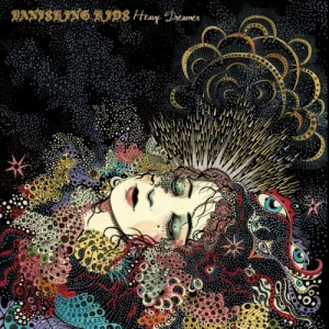 Heavy Dreamer album cover