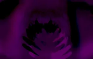 Untitled album cover
