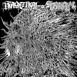 Vastum / Spectral Voice album cover