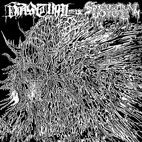 Vastum / Spectral Voice background