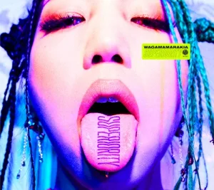 SUPERIORITY album cover