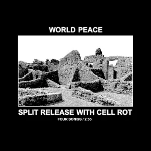 SPLIT WITH CELL ROT album cover