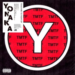Teach Me to Fight album cover