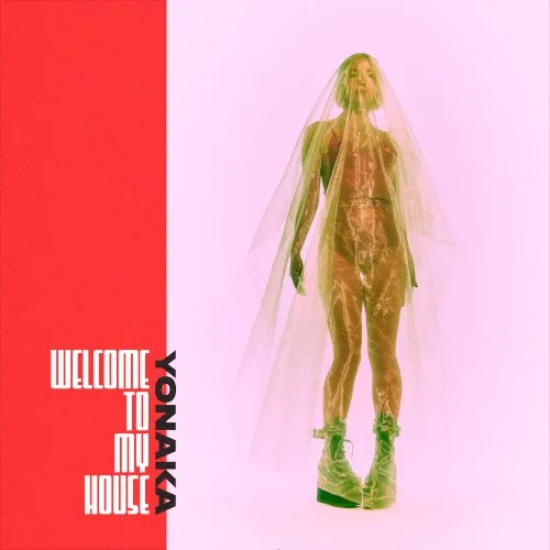 Welcome to My House background